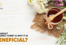 Photo of All About Organic Honey & Why It Is Beneficial?