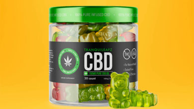 Photo of CBD Gummies are quickly absorbed